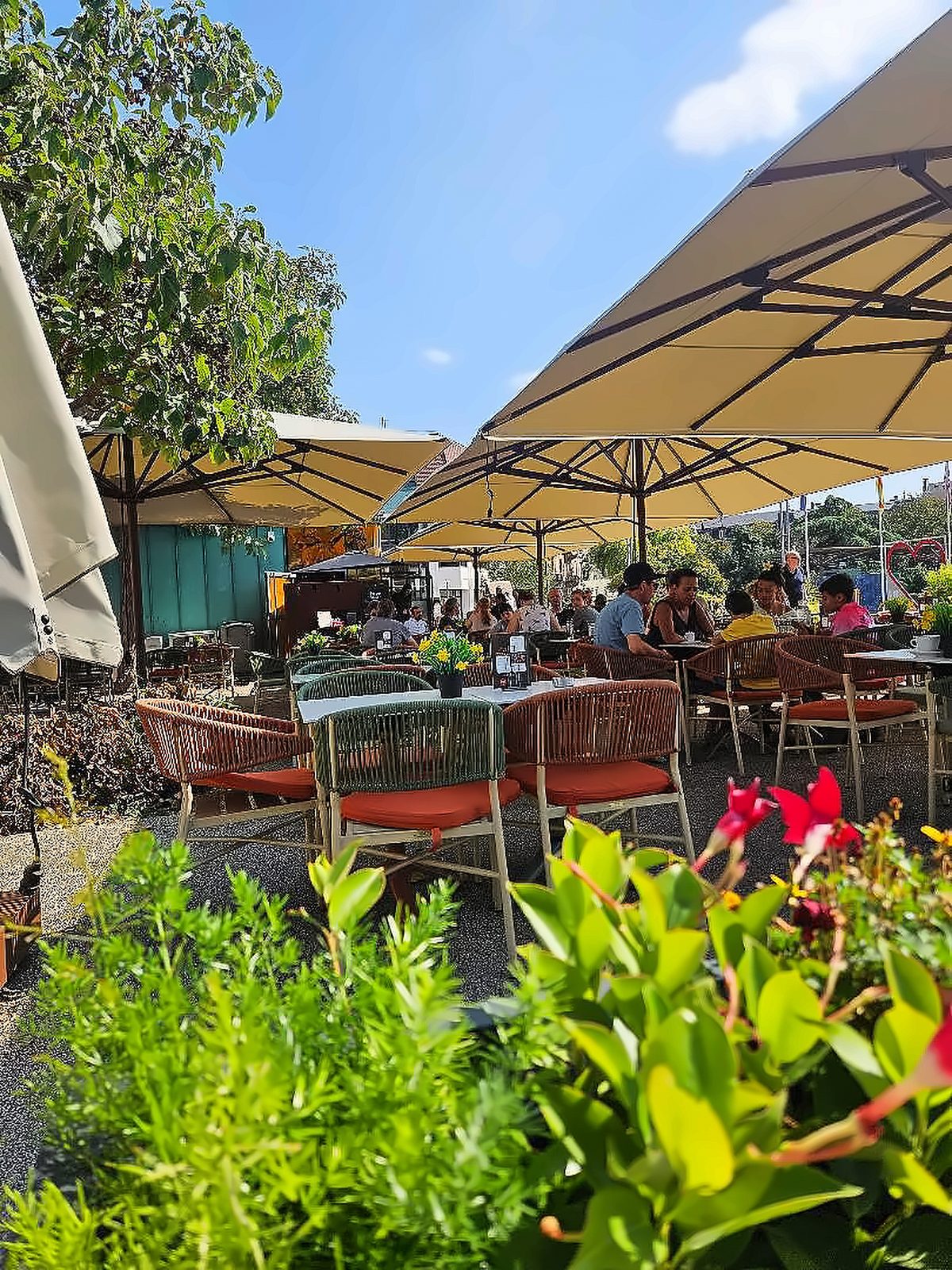 Terrasse fleurie du Restaurant Café Rapp sous les parasols, le long du parc du Champ-de-Mars à Colmar